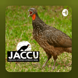 podcast_jacu